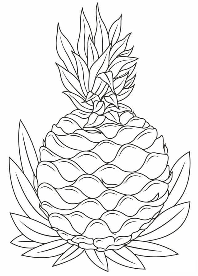 Ananas meyvesi (11) Boyama Sayfası
