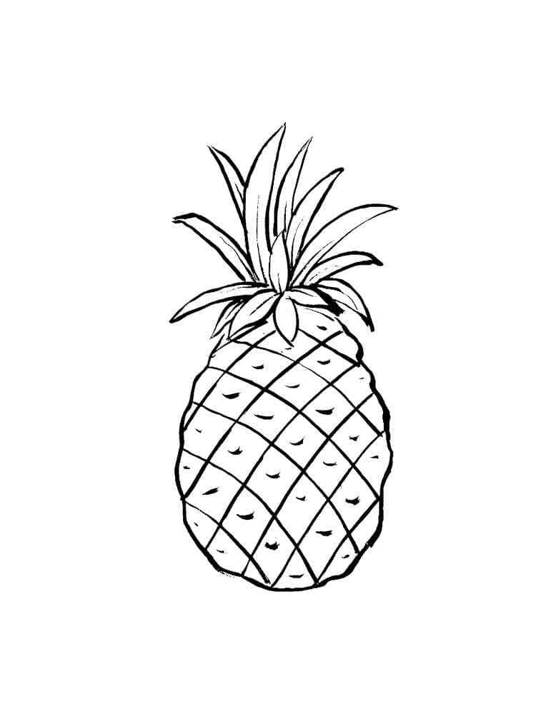 Ananas meyvesi (16) Boyama Sayfası