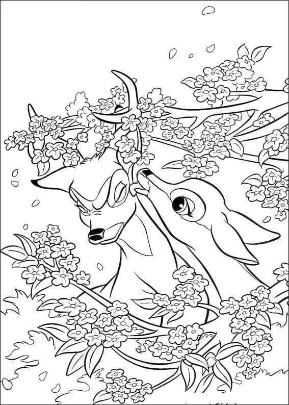Bambi (12) Boyama Sayfası