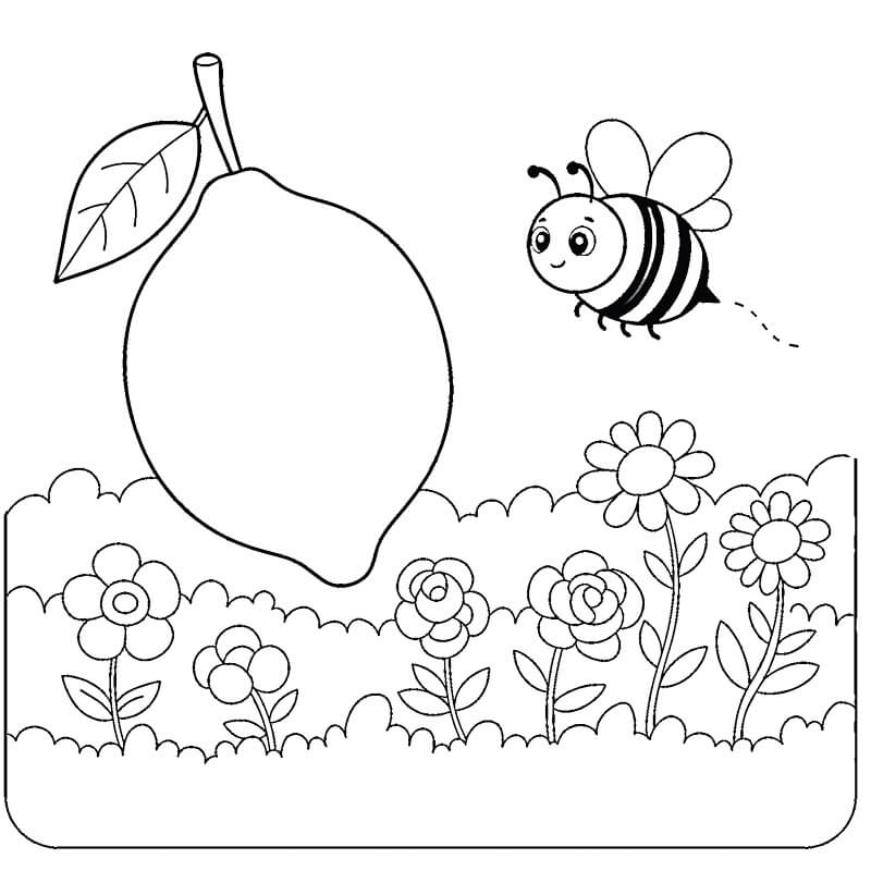 Basılacak Limon Boyama Sayfası