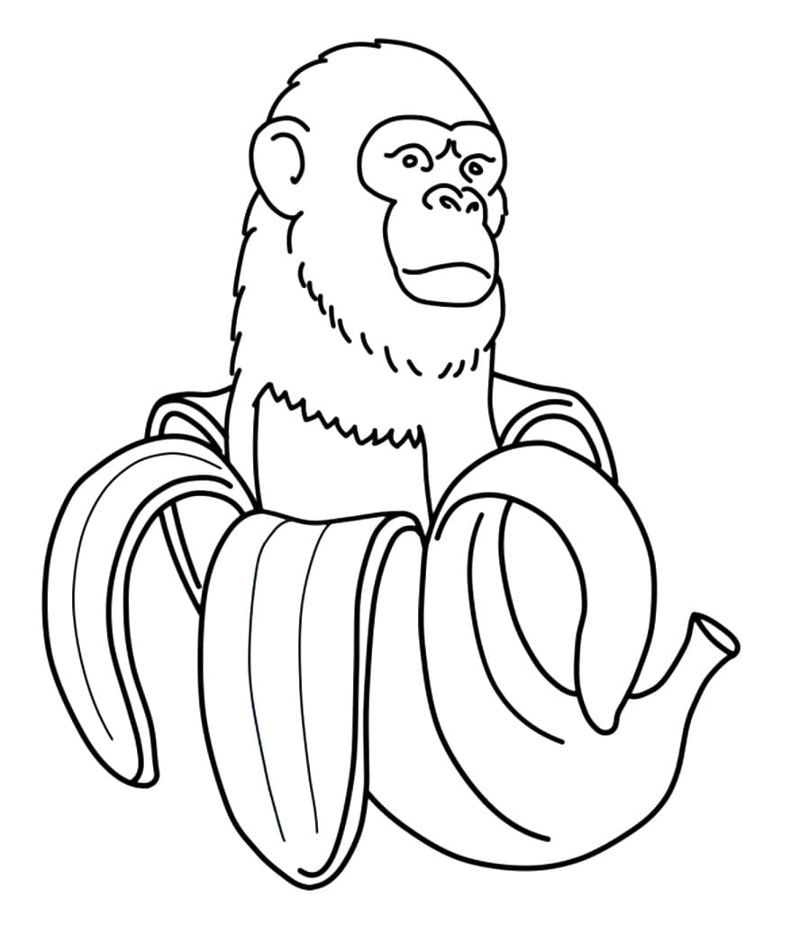 Boyama Chimpanzini Bananini Boyama Sayfası