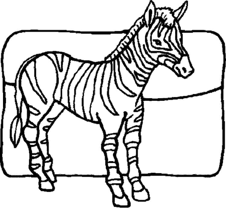 Boyanacak Zebra Boyama Sayfası