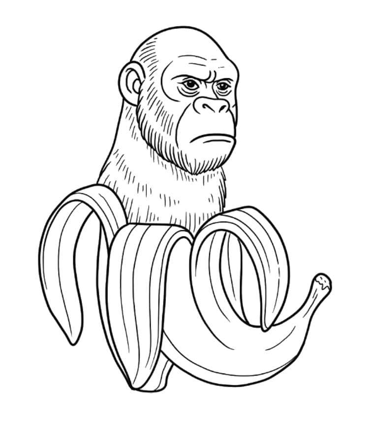Chimpanzini Bananini Ücretsiz Boyama Sayfası