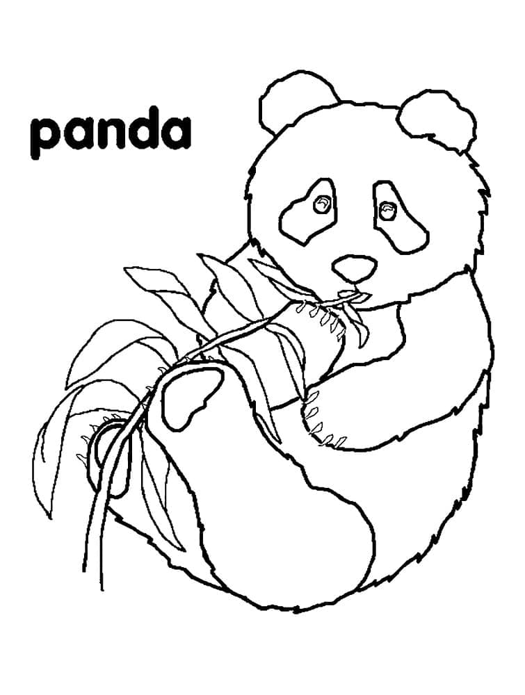 Çocuklar İçin Ücretsiz Panda Çizimi Boyama Sayfası
