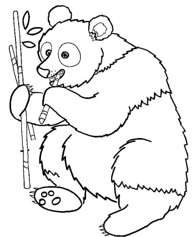 Çocuklar İçin Ücretsiz Panda Boyama Sayfası