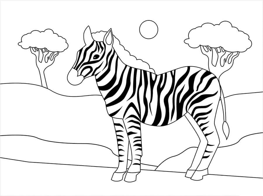 Çocuklar İçin Yazdırılabilir Zebra Resmi Boyama Sayfası