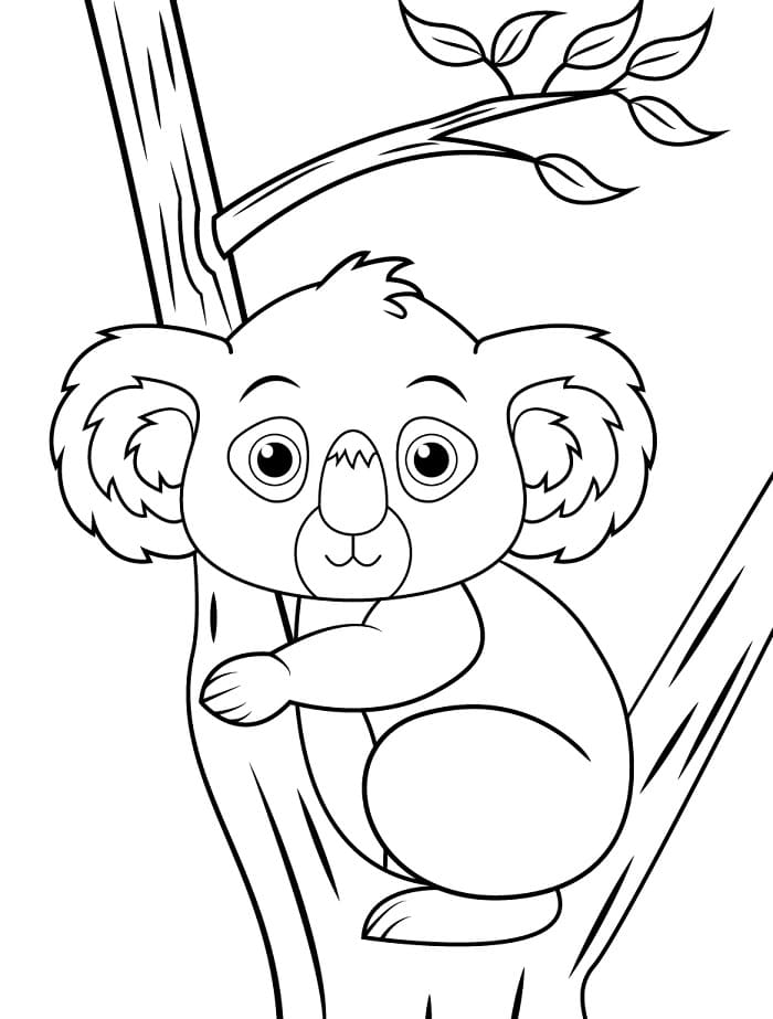 Çok Sevimli Koala Boyama Sayfası