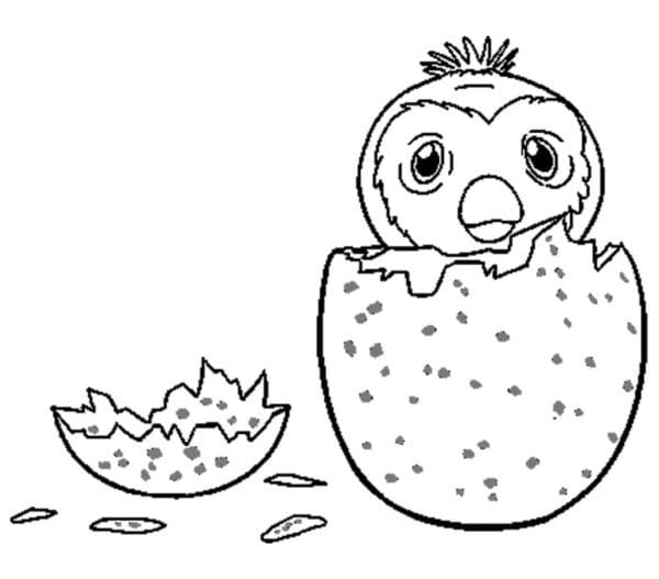 Çok sevimli Hatchimals Boyama Sayfası