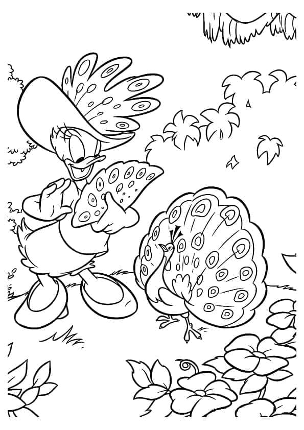 Daisy Duck (9) Boyama Sayfası