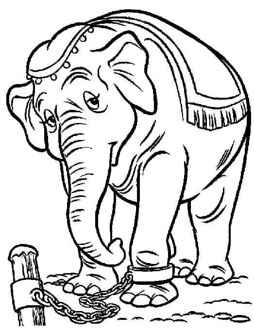 Dumbo (9) Boyama Sayfası