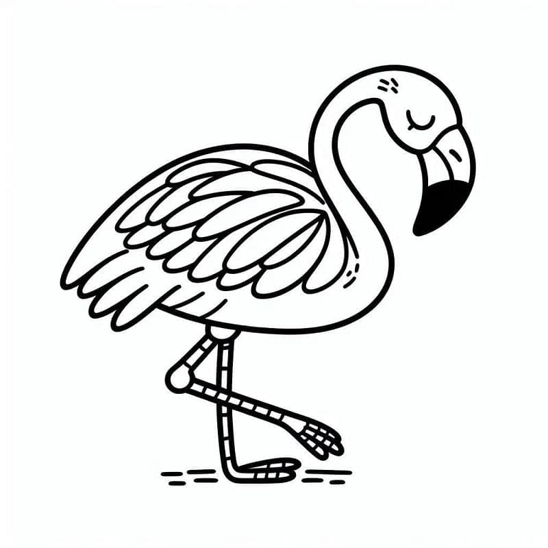 Flamingo bas Boyama Sayfası