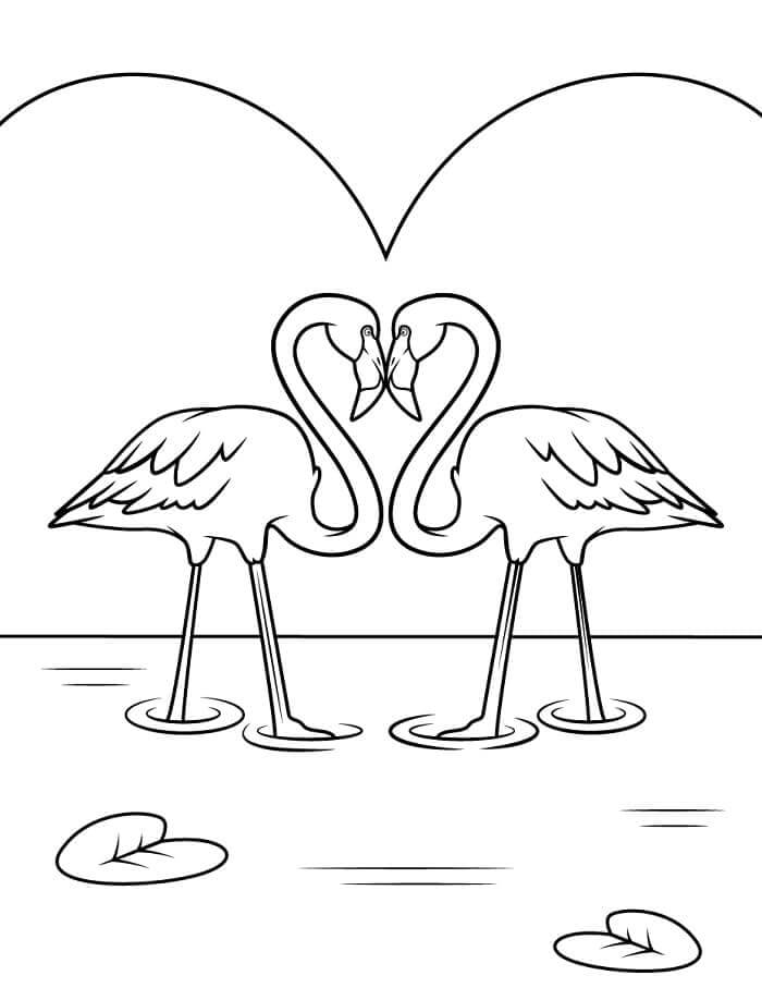 Flamingo resmi Boyama Sayfası