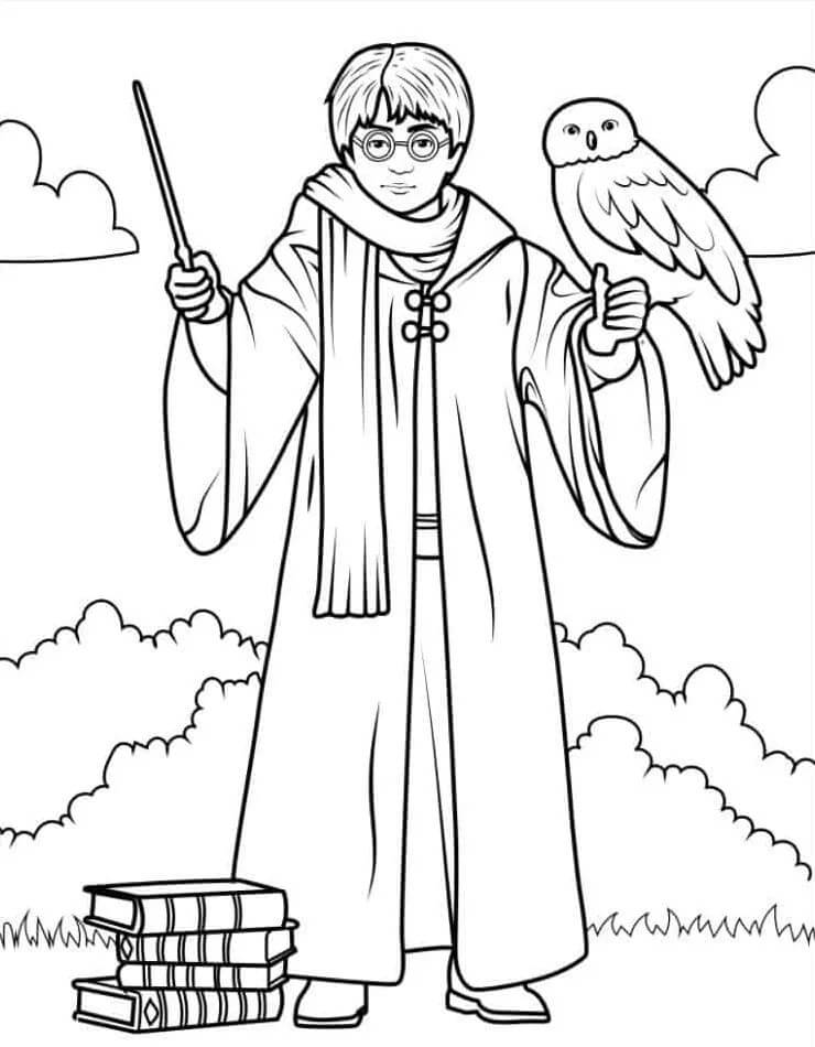 Harry Potter (12) Boyama Sayfası