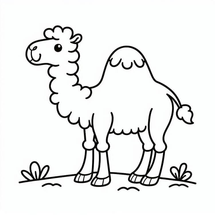 Kanguru resmi Boyama Sayfası