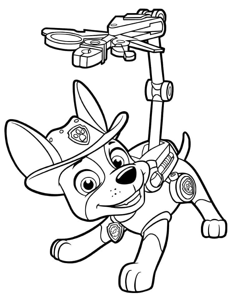 Karikatür Paw Patrol Boyama Sayfası
