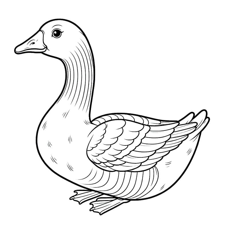 Kaz yazdırılır görsel Boyama Sayfası