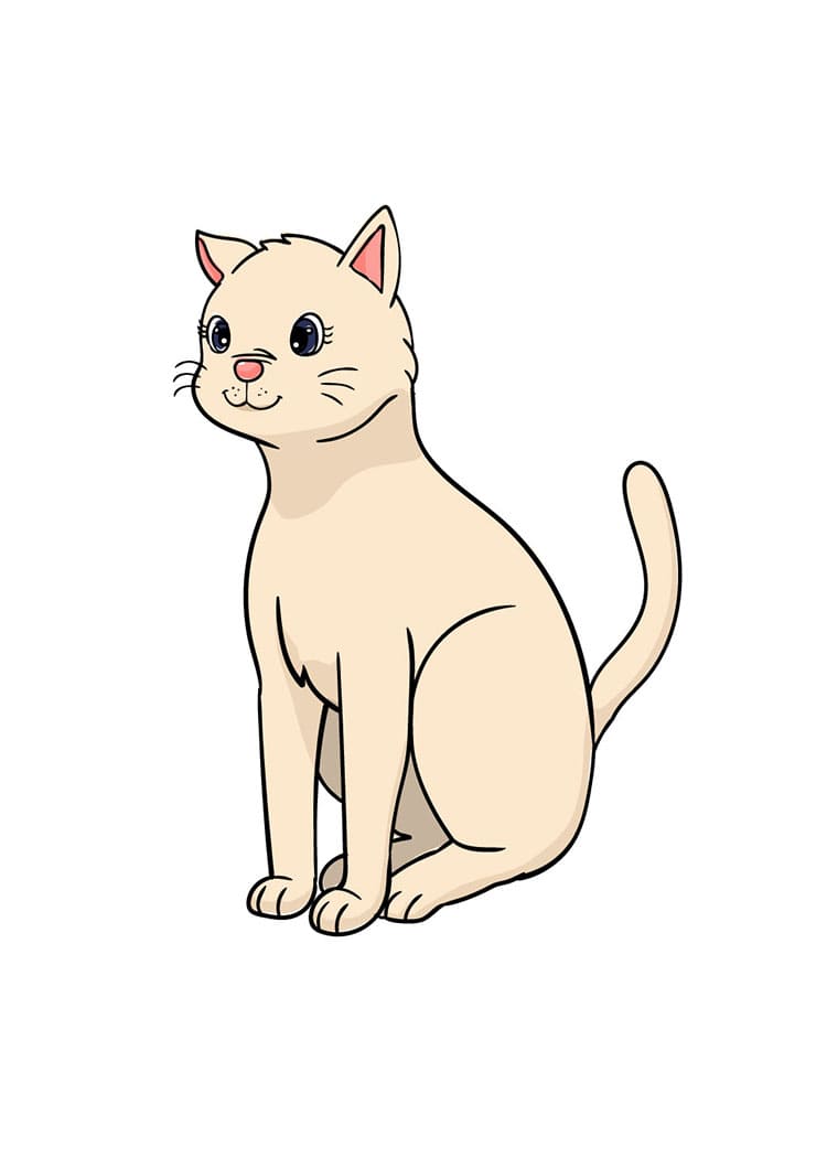 Kedi Nasıl Çizilir