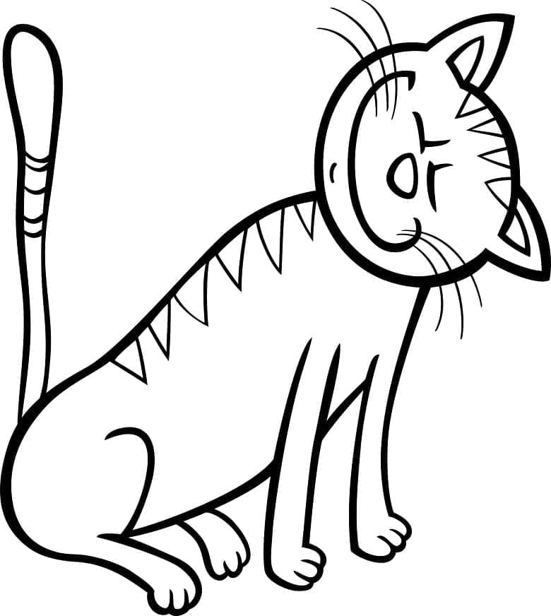Kedi Yazdır Boyama Sayfası