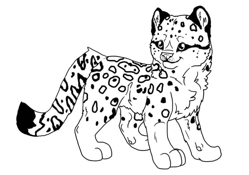 Lisa Frank (13) Boyama Sayfası