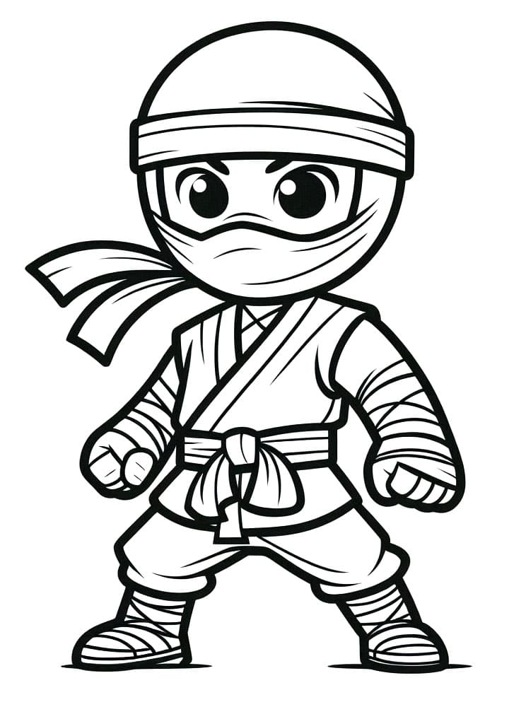 Ninja Boyama Sayfaları