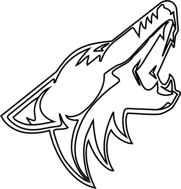 NHL (5) Boyama Sayfası