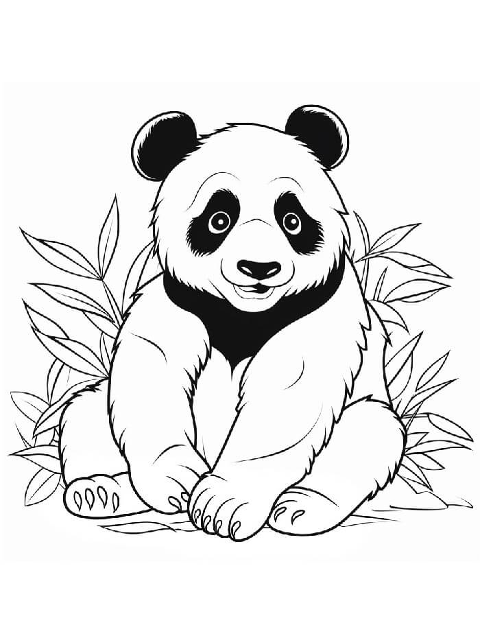 Panda Boyama Sayfaları