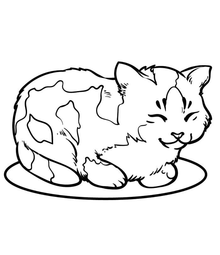 Pek Tatlı Kedi Boyama Sayfası