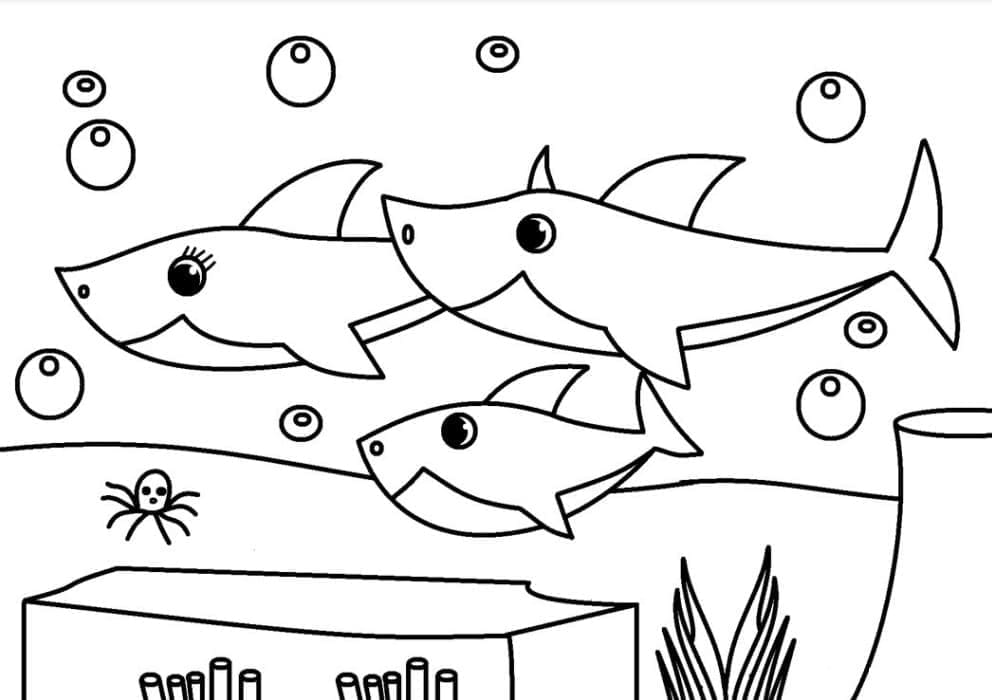 Sevimli Baby Shark Boyama Sayfası