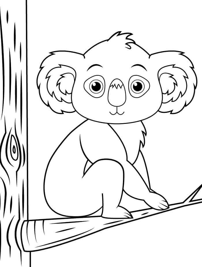 Sevimli Koala Boyama Sayfası