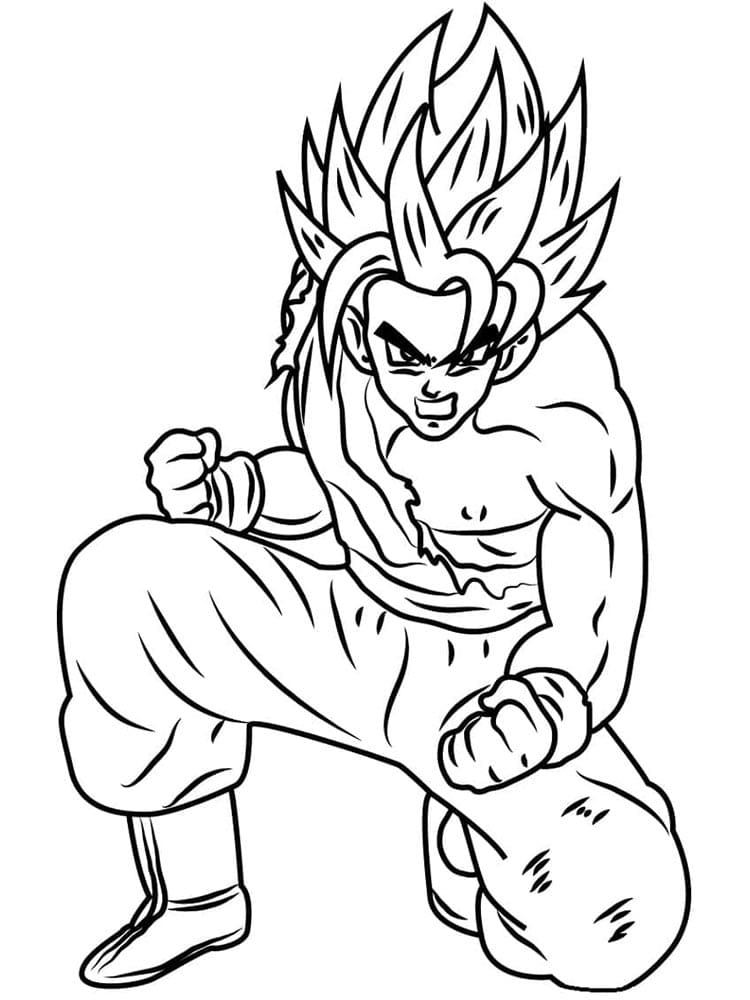 Son Goku Anime Boyama Sayfası