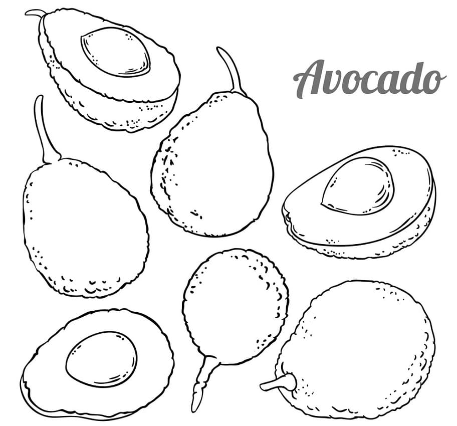 Ücretsiz Basılacak Avokado Boyama Sayfası