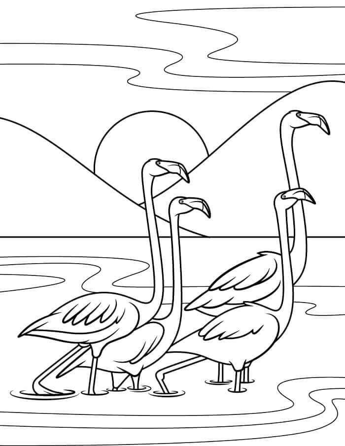 Ücretsiz Flamingo görseli Boyama Sayfası