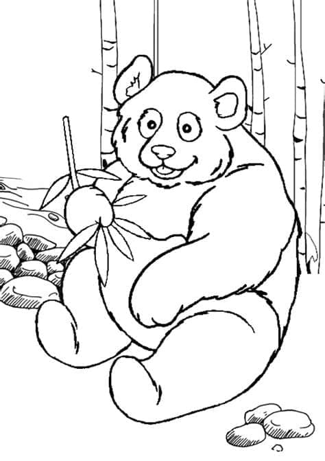 Ücretsiz Panda Görseli Boyama Sayfası