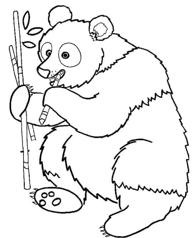 Ücretsiz Panda Resmi Boyama Sayfası