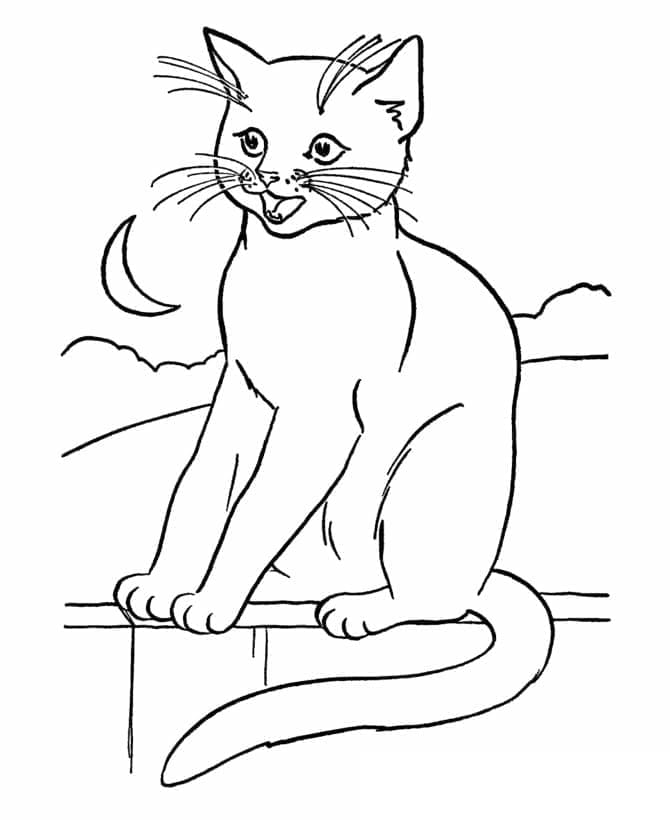 Yazdırılabilir Kedi Resmi Boyama Sayfası