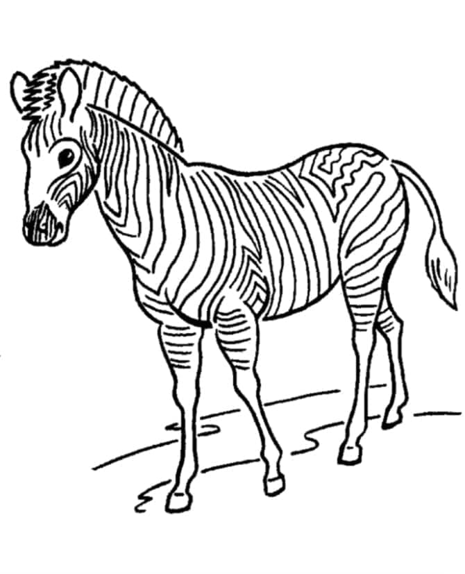 Yazdırılabilir Zebra Boyama Sayfası