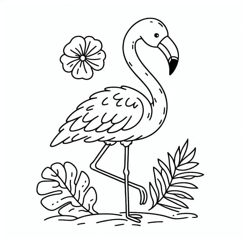 Flamingo Boyama Sayfaları
