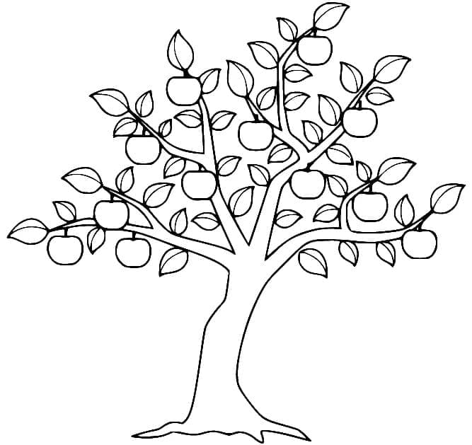 Yazdırılmak İçin Ücretsiz Elma Boyama Sayfası