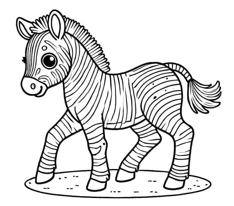 Zebra (5) Boyama Sayfası