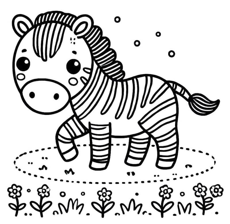 Zebra (8) Boyama Sayfası