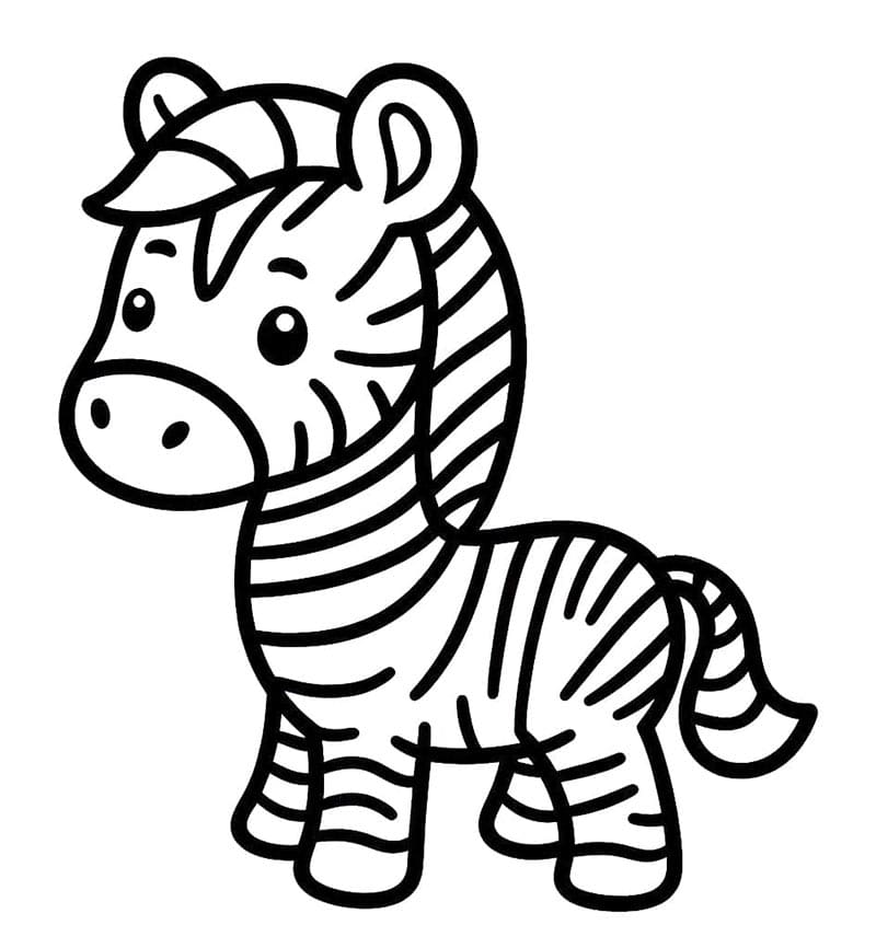 Zebra Resmi Boyama Sayfası